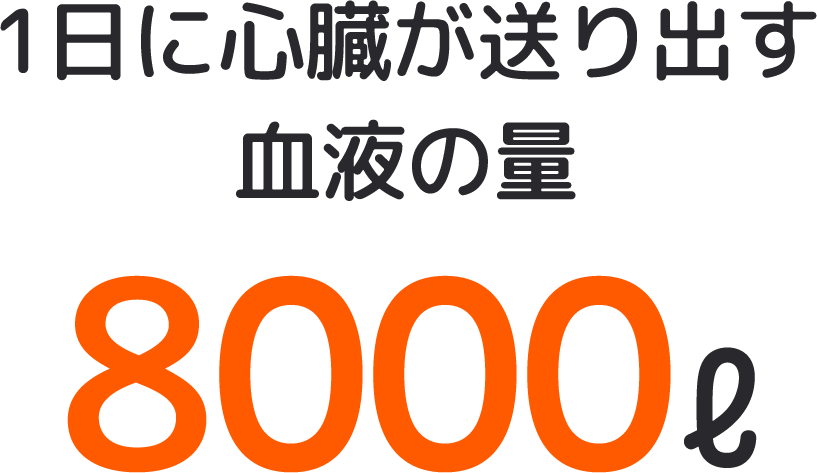 1日に心臓が送り出す血液の量8000ℓ