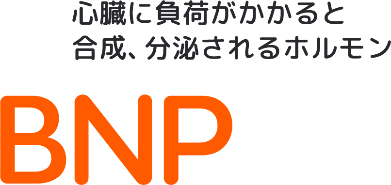 心臓に負荷がかかると合成分泌されるホルモン