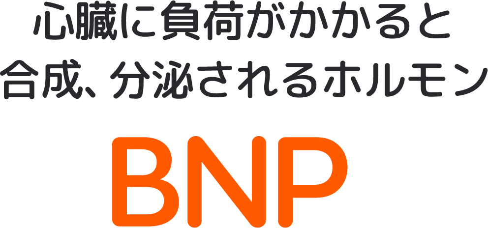 心臓に負荷がかかると合成分泌されるホルモン